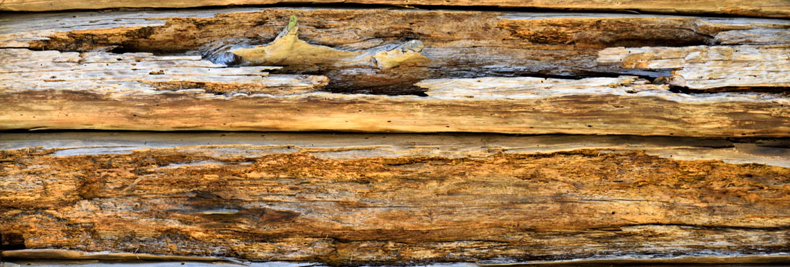 старая древесина