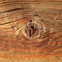 Дефекты древесины, которые проявляются со временем
